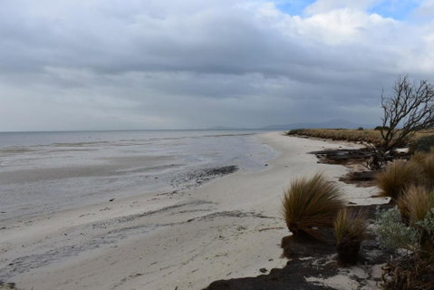 Tidal Dreaming Seaview Cottages - Nambucca Heads Accommodation 6