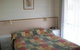 Black Swan Motor Inn - thumb 2