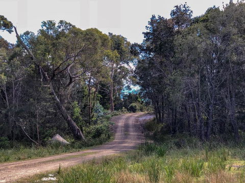 BAY Of FIRES ECO HUT Off Grid Experience At Binalong Bay - Nambucca Heads Accommodation 3