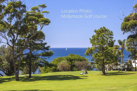 Mollymooks Tee To Sea 19 Buchan Street - Nambucca Heads Accommodation 2