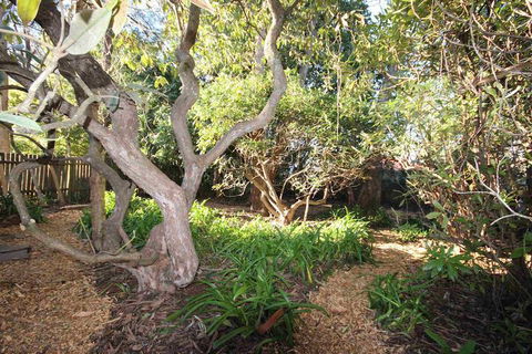 Stonewall Cottage & Studio - Nambucca Heads Accommodation 5