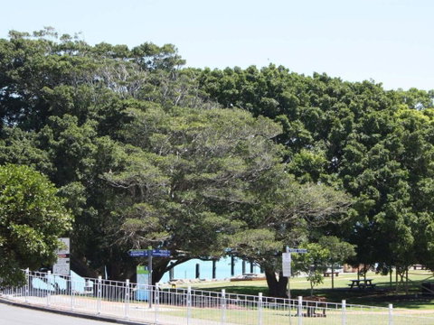 The Reef 103 Lakeside! - Nambucca Heads Accommodation 6