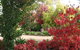 Delderfield Cottages - thumb 4