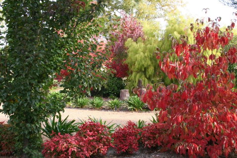 Delderfield Cottages - Nambucca Heads Accommodation 4