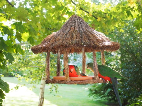 Delderfield Cottages - Nambucca Heads Accommodation 2