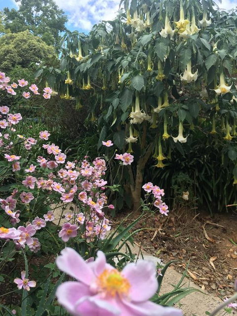 Adelaide Hills B & B Accommodation - Nambucca Heads Accommodation 6