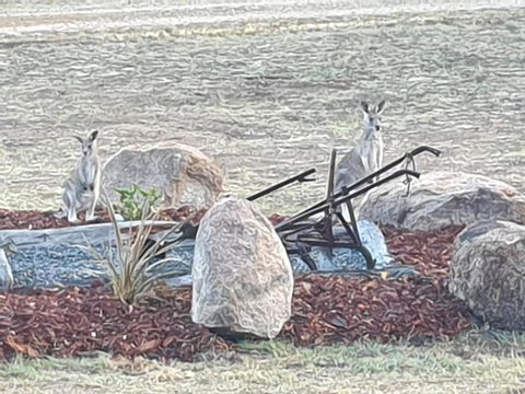 R & R On The Ravine - Nambucca Heads Accommodation 5