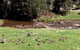 RiverCottage Selfcontained - thumb 3
