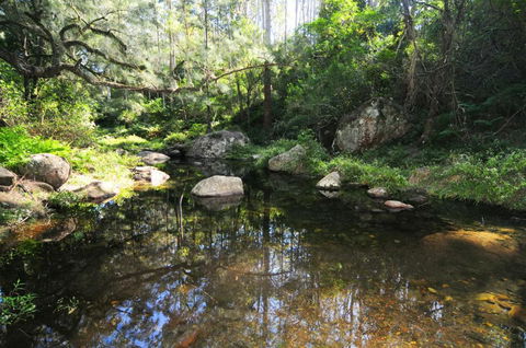 Alcheringa Cottage - Nambucca Heads Accommodation 5