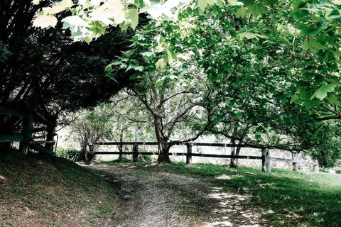 Braebrook Stunning Farm House! - Nambucca Heads Accommodation 3