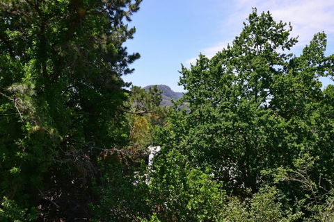 Cloudsong Chalet 4 Close To The Village Centre! - Nambucca Heads Accommodation 3