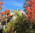 Cloudsong Chalet 4 Close to the village centre - Nambucca Heads Accommodation
