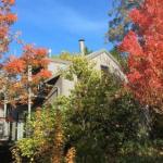 Cloudsong Chalet 4 Close To The Village Centre! - Nambucca Heads Accommodation 0