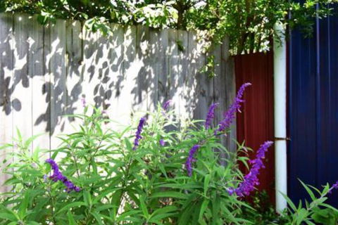 Lulu Hill Cottage Kangaroo Valley - Nambucca Heads Accommodation 7