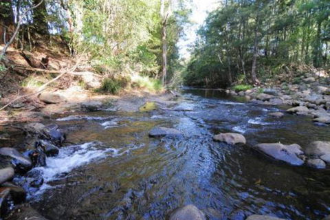 Willabrook Retreat Rest Cottage Spoil Yourself! - Nambucca Heads Accommodation 7