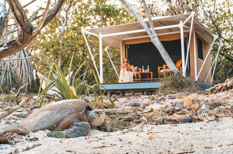 Wilson Island - Nambucca Heads Accommodation 0