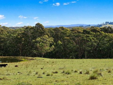 Cooinda 50 Percent Off Third Night On Weekend - Nambucca Heads Accommodation 5