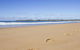 Dolphin Breeze Fully Fenced & Pet Friendly - thumb 2