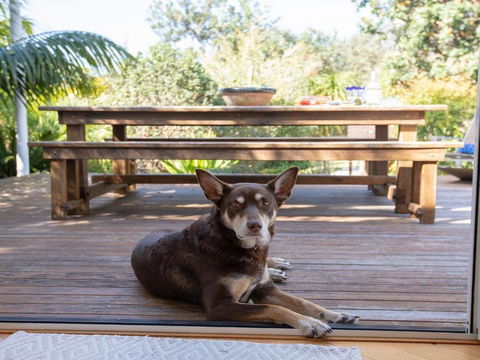 Maldas Retreat Air Con Fireplace & Outdoor Spa - Nambucca Heads Accommodation 5