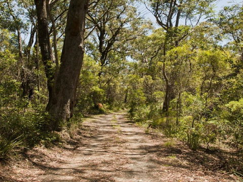 Riverbend 5 Acres Only 9km To Village - Nambucca Heads Accommodation 3