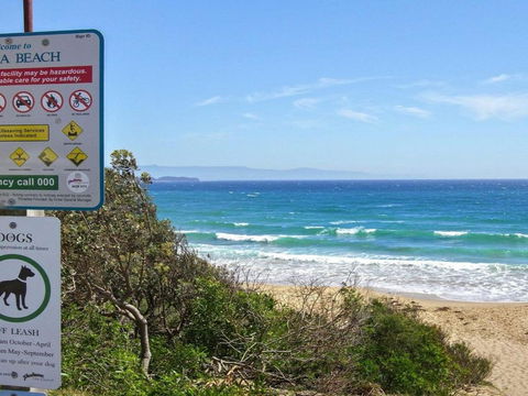 Shady Palms Modern Beach House With Studio - Nambucca Heads Accommodation 2