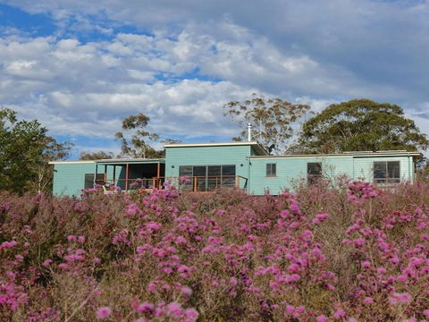 Tea Tree Hollow 50 Percent Off Third Night On Weekend - Nambucca Heads Accommodation 2
