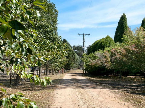 Warrington Park Bendooley Hill - Nambucca Heads Accommodation 5