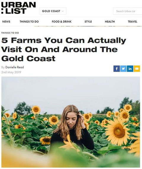 Farm & Co Sy - Nambucca Heads Accommodation 3