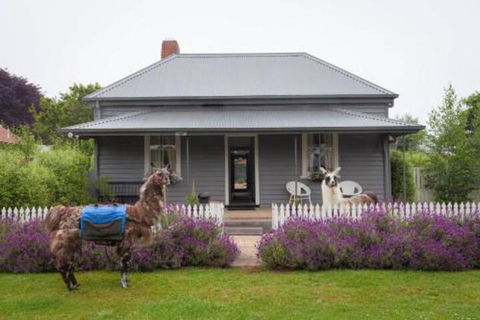 Domino House - Nambucca Heads Accommodation 0
