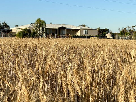 The Mains Guest House - Nambucca Heads Accommodation 0