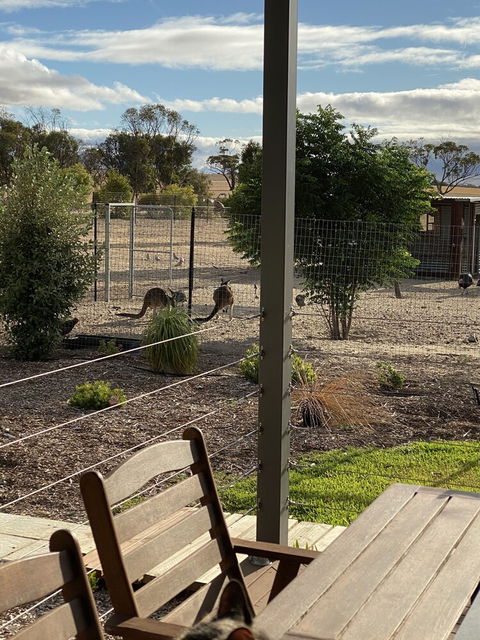The Mains Guest House - Nambucca Heads Accommodation 3