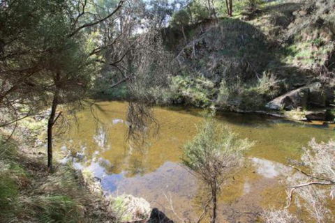 Alpine Streamside - Nambucca Heads Accommodation 3