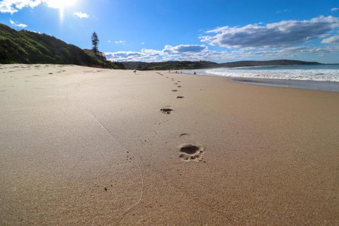 Surfers Paradise At Catherine Hill Bay - Nambucca Heads Accommodation 2