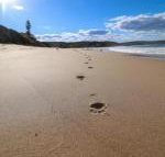 Surfers Paradise at Catherine Hill Bay - Nambucca Heads Accommodation