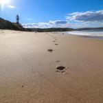 Surfers Paradise At Catherine Hill Bay - Nambucca Heads Accommodation 0