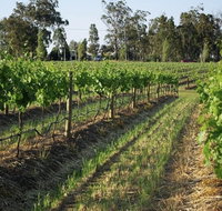 Renovated Cottage Aberdare Hunter Valley - Nambucca Heads Accommodation