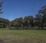 Championship Golf Course on your Back Door - Nambucca Heads Accommodation
