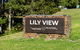 Lilyview Cottage - Robertson - thumb 1
