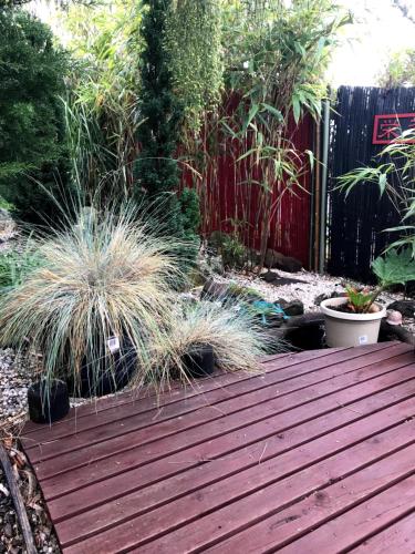 Coastal Garden Shack - Nambucca Heads Accommodation 3
