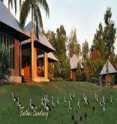 Feathers Sanctuary - Nambucca Heads Accommodation 6