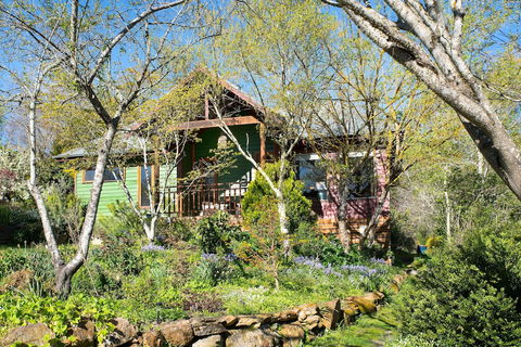 Hills End Iris - Nambucca Heads Accommodation 1