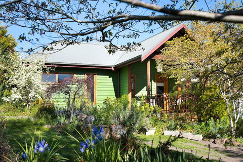 Hills End Iris - Nambucca Heads Accommodation 0