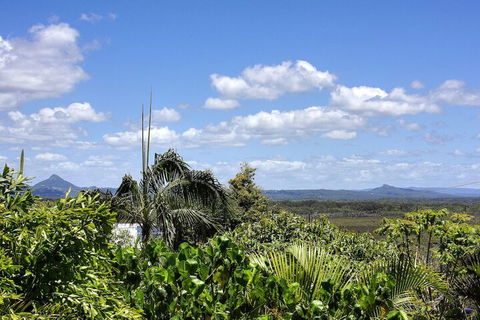 Piccolo Peregian - Pet Friendly- Peregian Beach, QLD - Nambucca Heads Accommodation 7