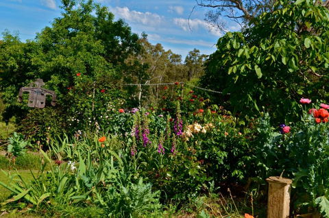 Clyde Cottage - Nambucca Heads Accommodation 3