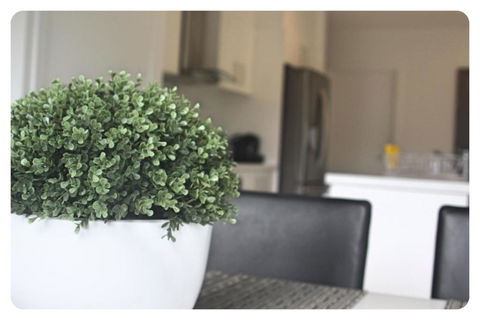 The Shae Luka Private Apartment - Nambucca Heads Accommodation 5