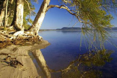 Mimosa - Nambucca Heads Accommodation 1