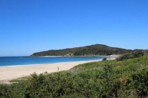 Mimosa - Nambucca Heads Accommodation 4