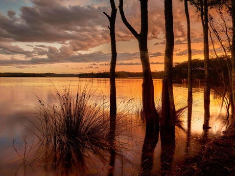 Banksia - Nambucca Heads Accommodation 3