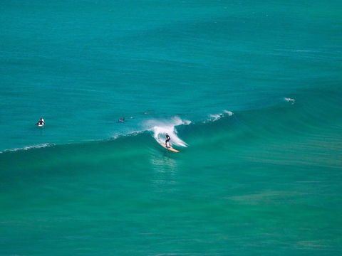 Banksia - Nambucca Heads Accommodation 4