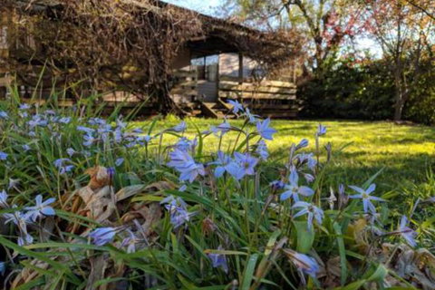 Alexander Cottage - Nambucca Heads Accommodation 3